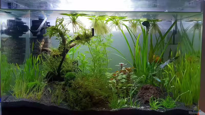 16.1. Umgestaltung  von Mel (5)