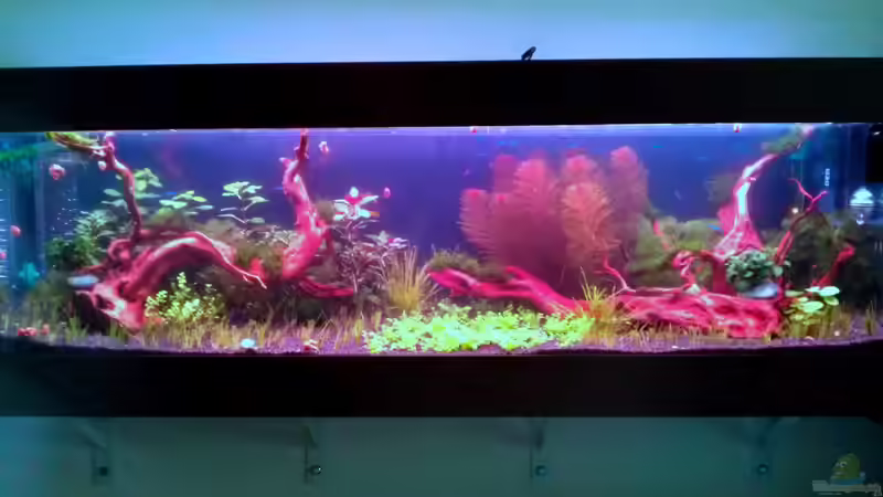 16.1.2013 von Bjarke (8)