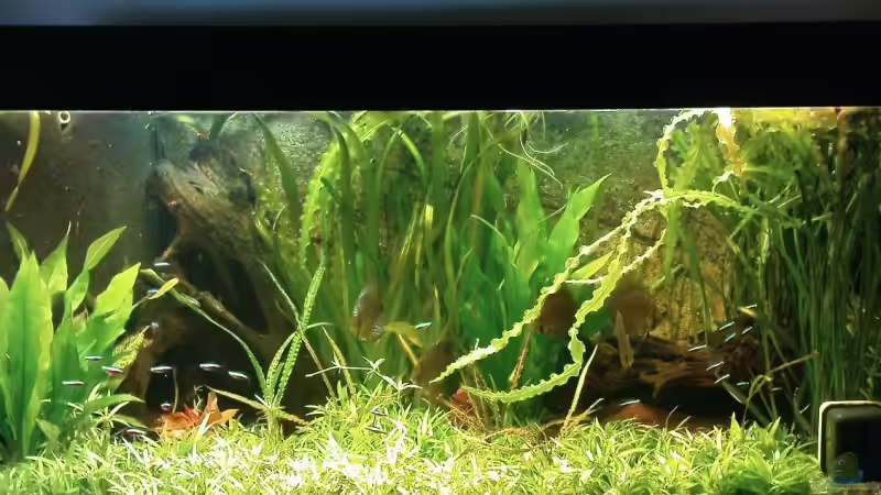 16.10.09 von Till Grote (7)