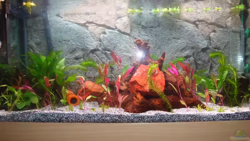 16.10.12 von Poldi1981 (2)