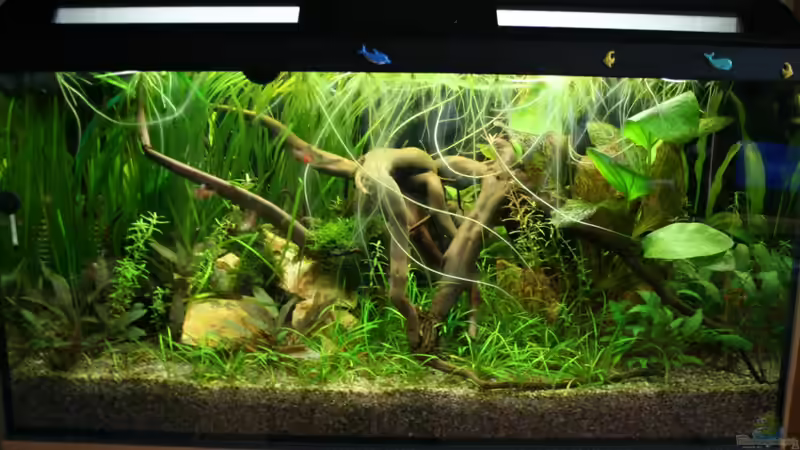 16.10.2012 Front von Mario K (1)