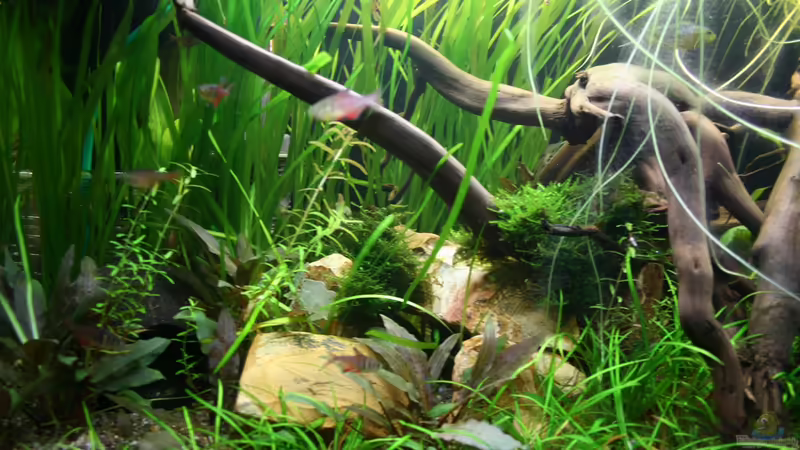 16.10.2012 rechts von Mario K (7)