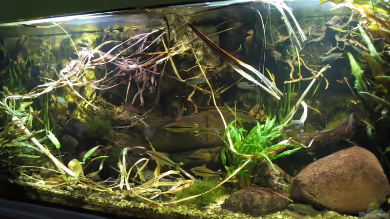 16.10.2016 von der Theoretiker (18)