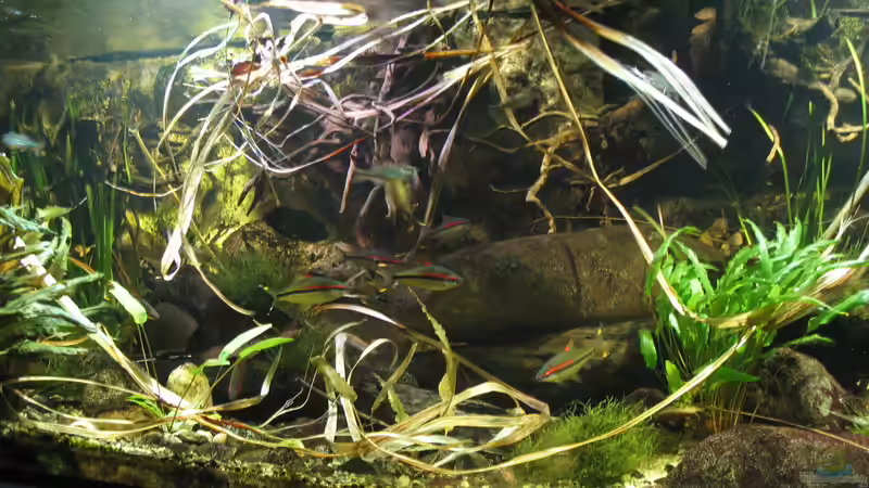 16.10.2016 von der Theoretiker (19)