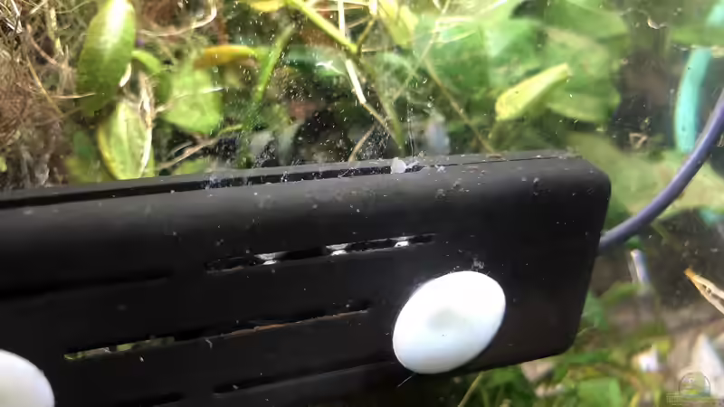 16.10.2018 - Der Aquariumfresher läuft nun seit bald einem Jahr einwandfrei und von Helga Kury (12)