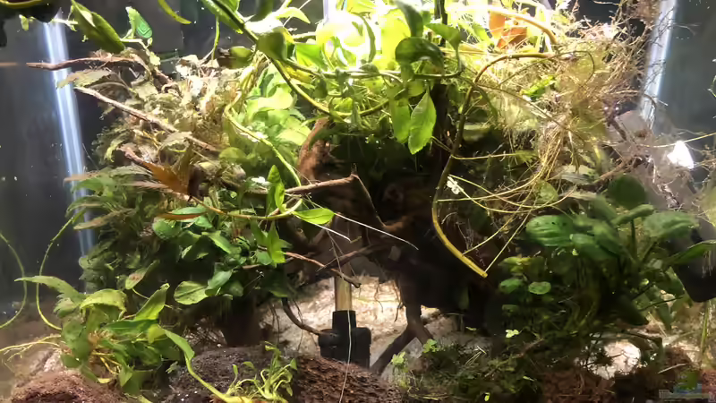 16.10.2018 - Im Einrichten von Becken bin ich nicht sehr gut...  von Helga Kury (13)