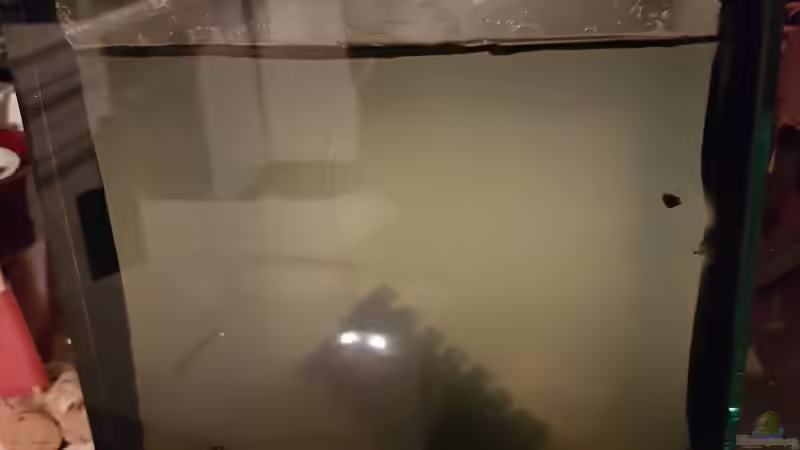 16.10.2018 von Kevin Engelsberger (5)