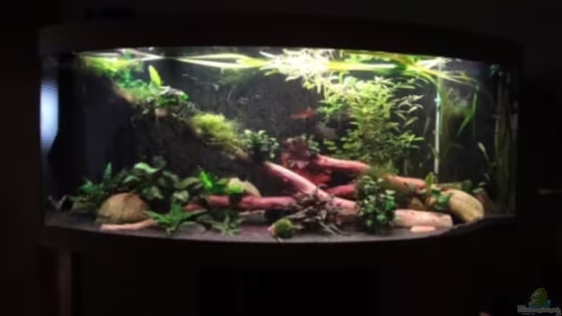 16.11.11 von Heiko Stracke (10)