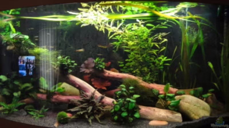 16.11.11 von Heiko Stracke (26)