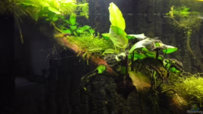 16.11.11 von Heiko Stracke (27)