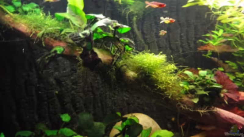 16.11.11 von Heiko Stracke (28)