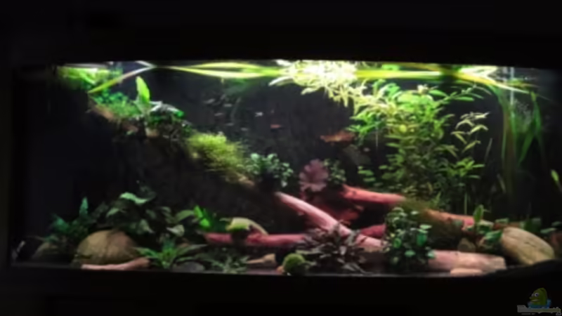 16.11.11 von Heiko Stracke (9)