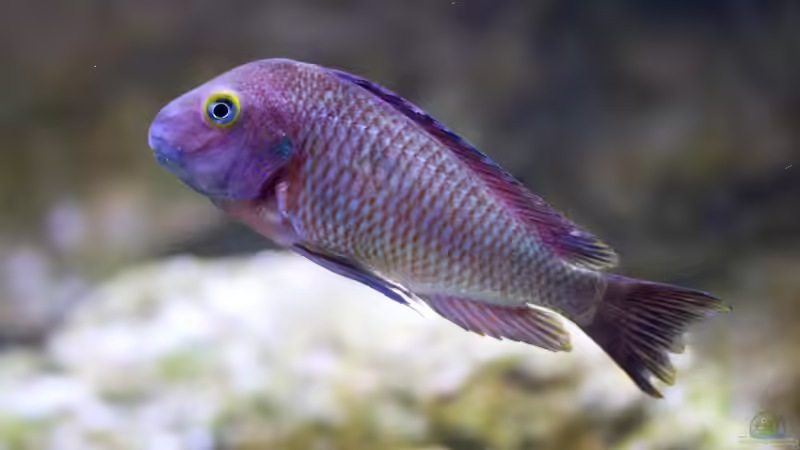 16.11.2013 von Markus Walter (38)