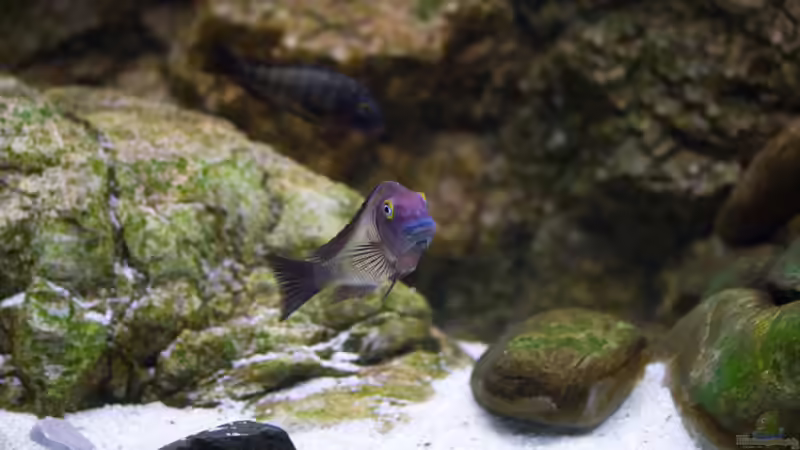 16.11.2013 von Markus Walter (39)