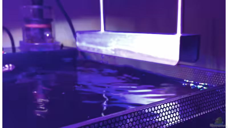 16.11.2017 - Grund für mein Nickel und Aluminium - so einfach und doch so schwer von mmbm78! (5)