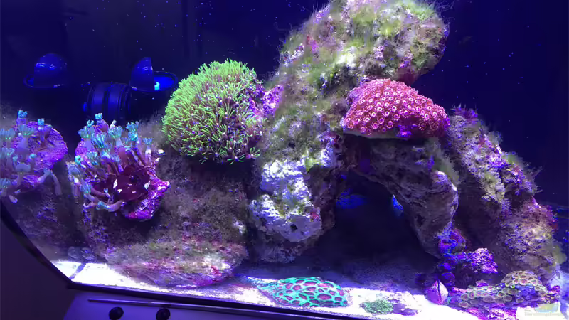 16.11.2017 von mmbm78! (6)