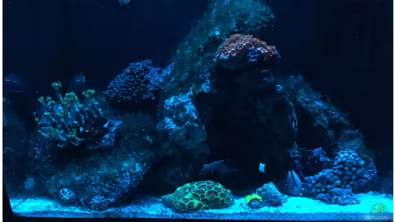 16.11.2017 von mmbm78! (9)