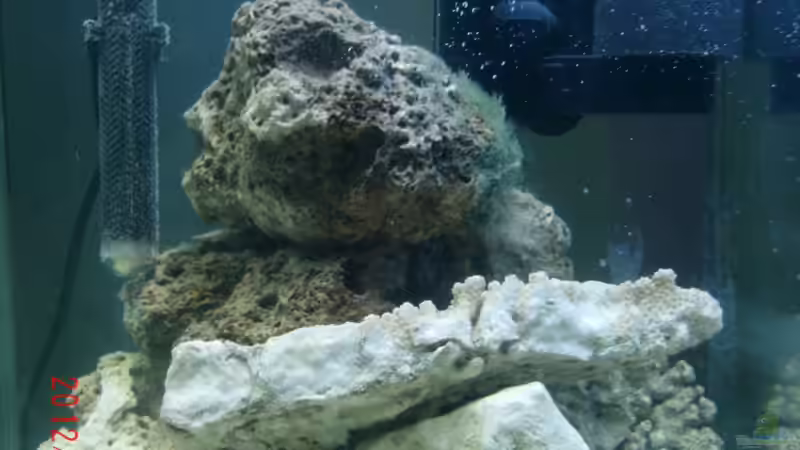 16.12.12 von Jademeister (8)