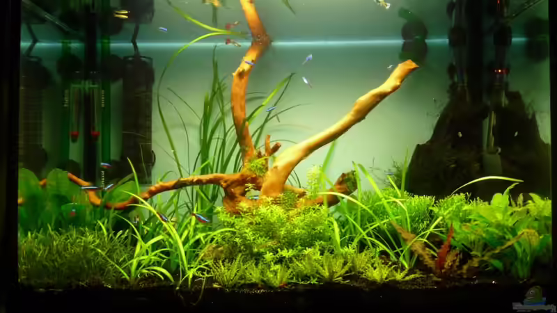 16.12.2009 von BenoN (5)