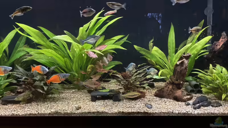 16.12.2025 Hauptbild