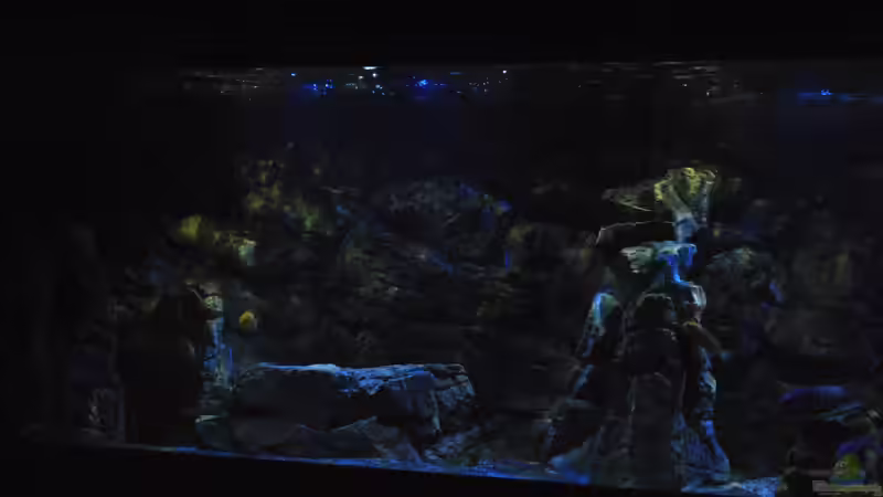 16.3 .13 Eindrücke von Lutz K (23)