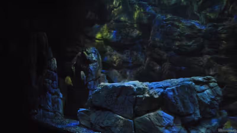 16.3 .13 linke Beckenseite von Lutz K (19)