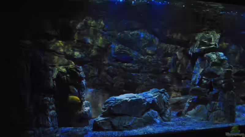 16.3 .13 links bis mitte von Lutz K (20)