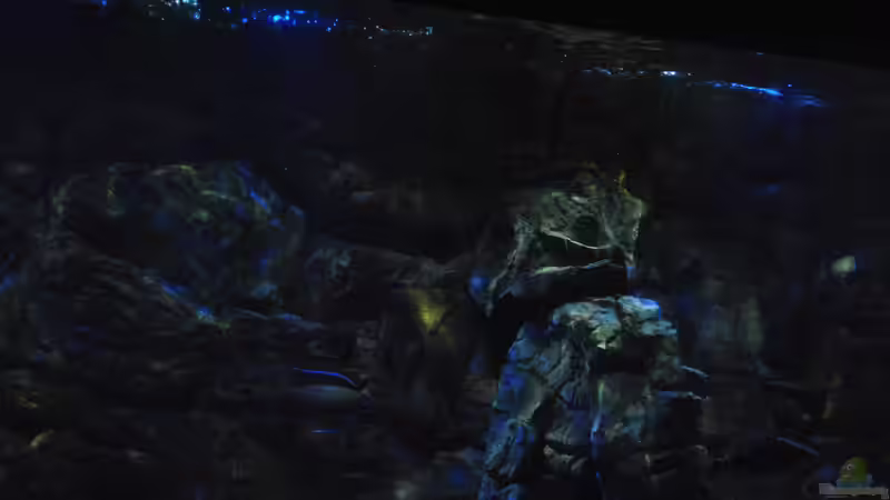 16.3 .13 mitte Becken von Lutz K (15)