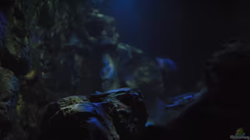 16.3 .13 Von der linken Seitenscheibe fotorafiert von Lutz K (4)