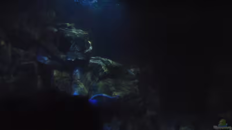 16.3 .13 Von der linken Seitenscheibe fotorafiert von Lutz K (5)