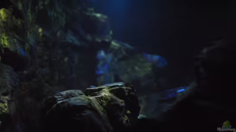 16.3 .13 Von der linken Seitenscheibe fotorafiert von Lutz K (7)