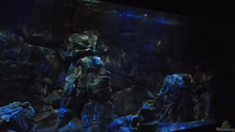 16.3 .13 von Lutz K (11)