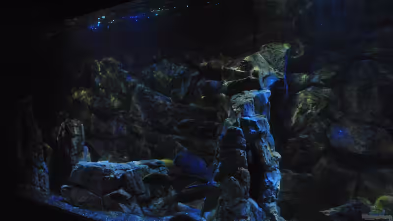 16.3 .13 von Lutz K (16)