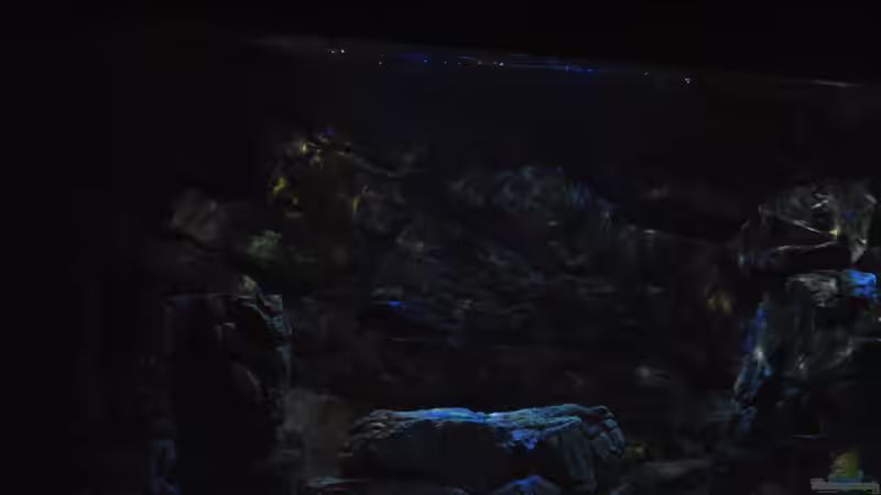 16.3 .13 von Lutz K (18)