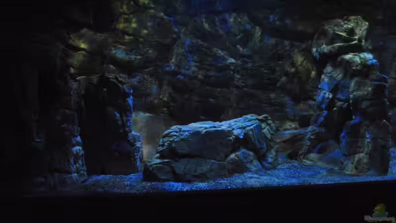 16.3 .13 von Lutz K (22)