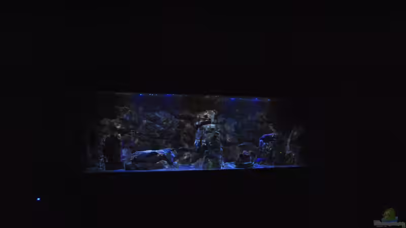 16.3 .13 von Lutz K (24)