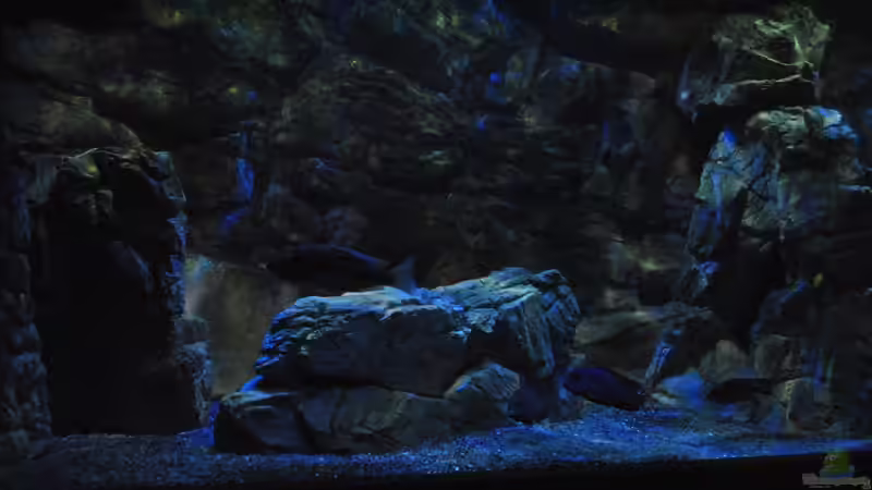 16.3 .13 von Lutz K (25)