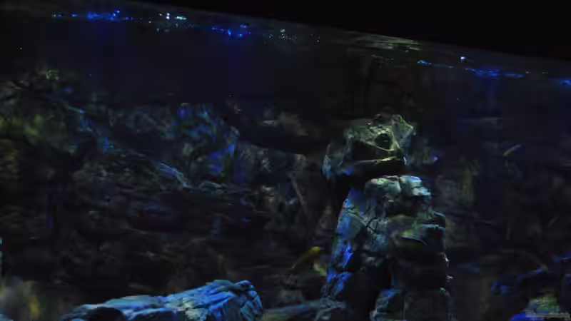 16.3 .13 von Lutz K (26)