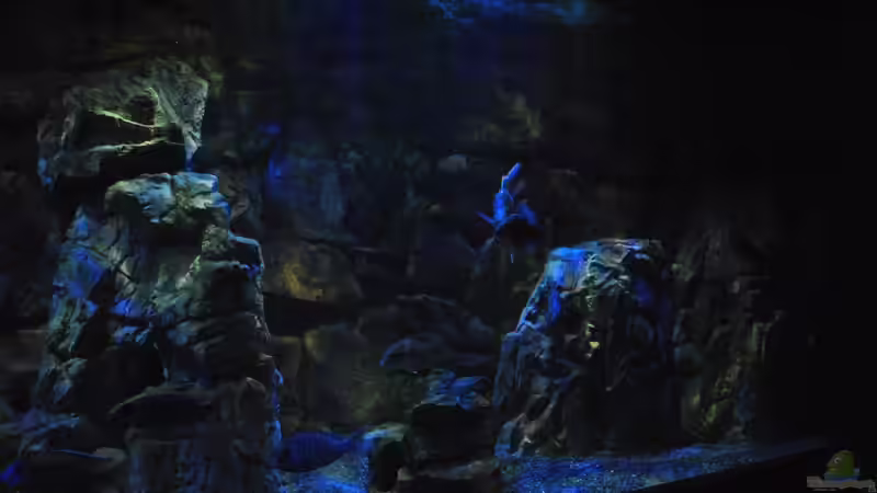 16.3 .13 von Lutz K (27)