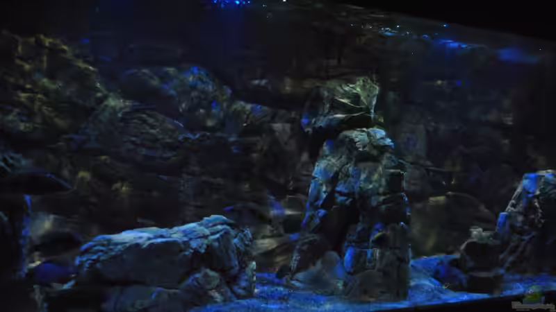 16.3 .13 von Lutz K (9)