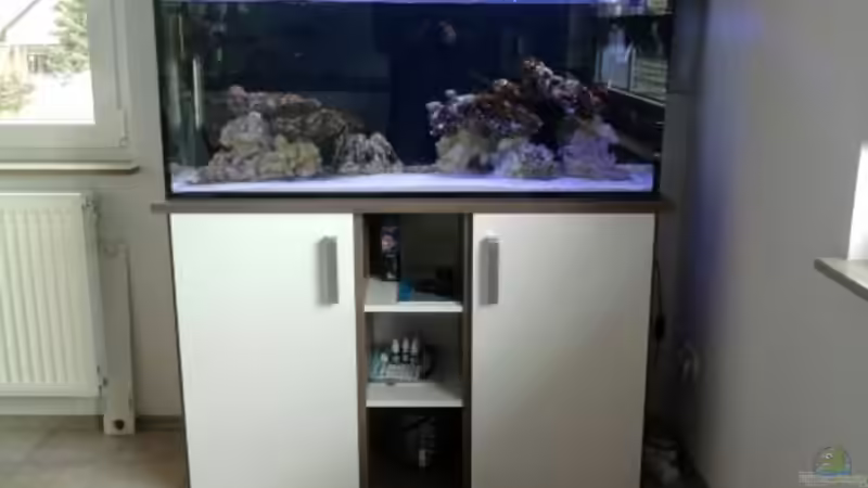 16.3.11 von Johannes 88 (4)