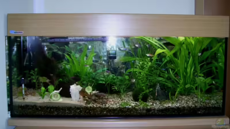 160 Liter Gesellschaftsbecken