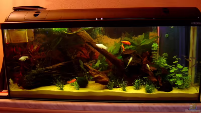 160er von Andreas Mehner (1)