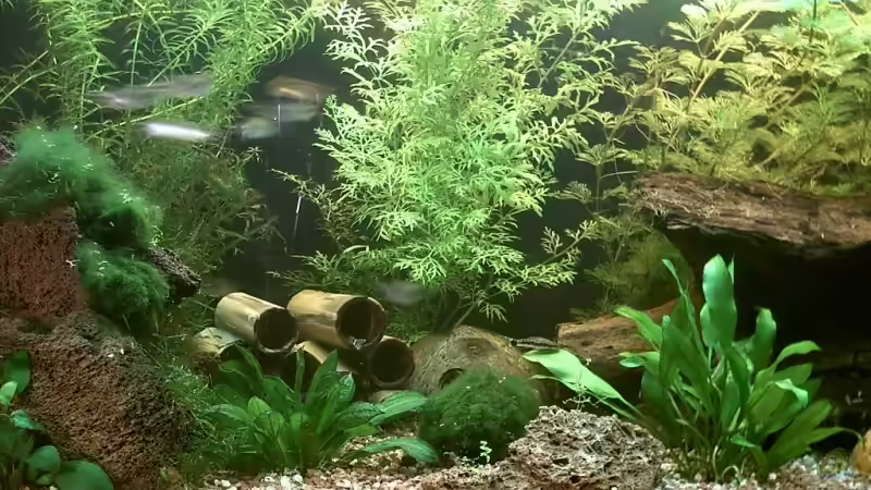 160l mitte von Jana Gelfort (4)