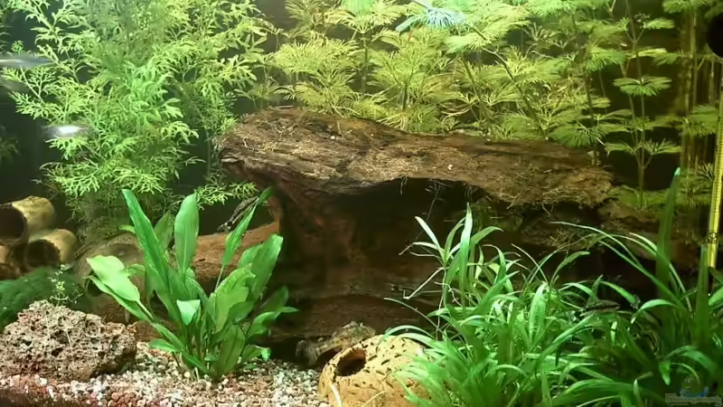 160l rechts von Jana Gelfort (3)