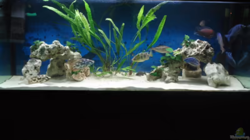 160x60x60=576L von Dennis Kaiser (1)