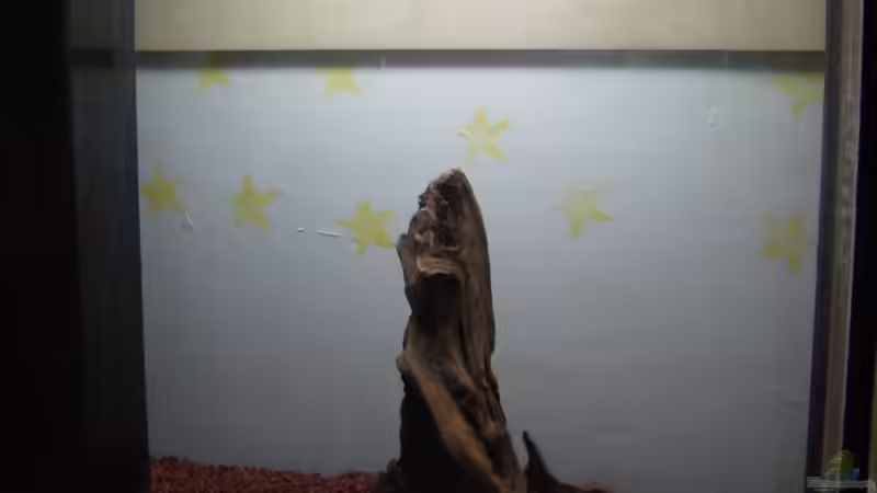 165 Liter Becken der Anfang von Michael Meyer (1)