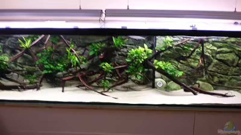 1680 L Südamerika von Jürgen Herb (1)