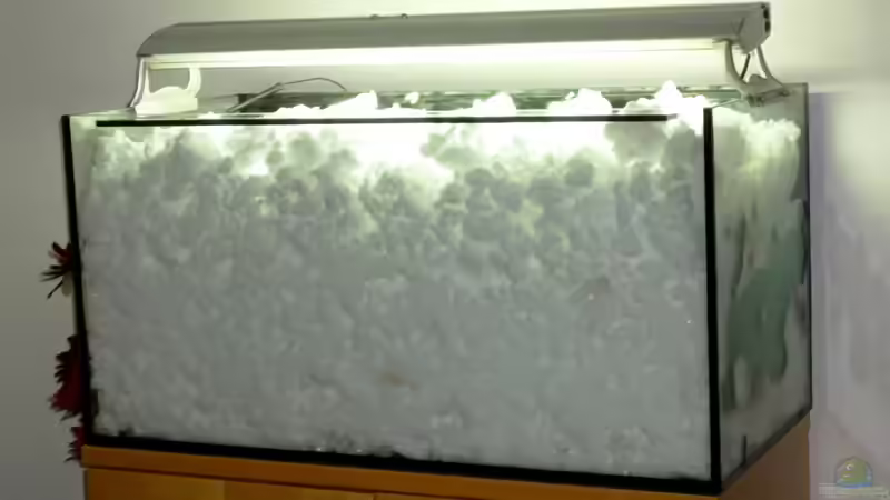 17.01.13 ~ ... bis selbst die letzten Spitzen der Alpen nicht mehr zu sehen sind. von Quyrill (14)