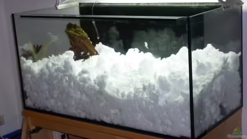 17.01.13 ~ Langsam verschwindet der Amazonas im Schnee... von Quyrill (13)